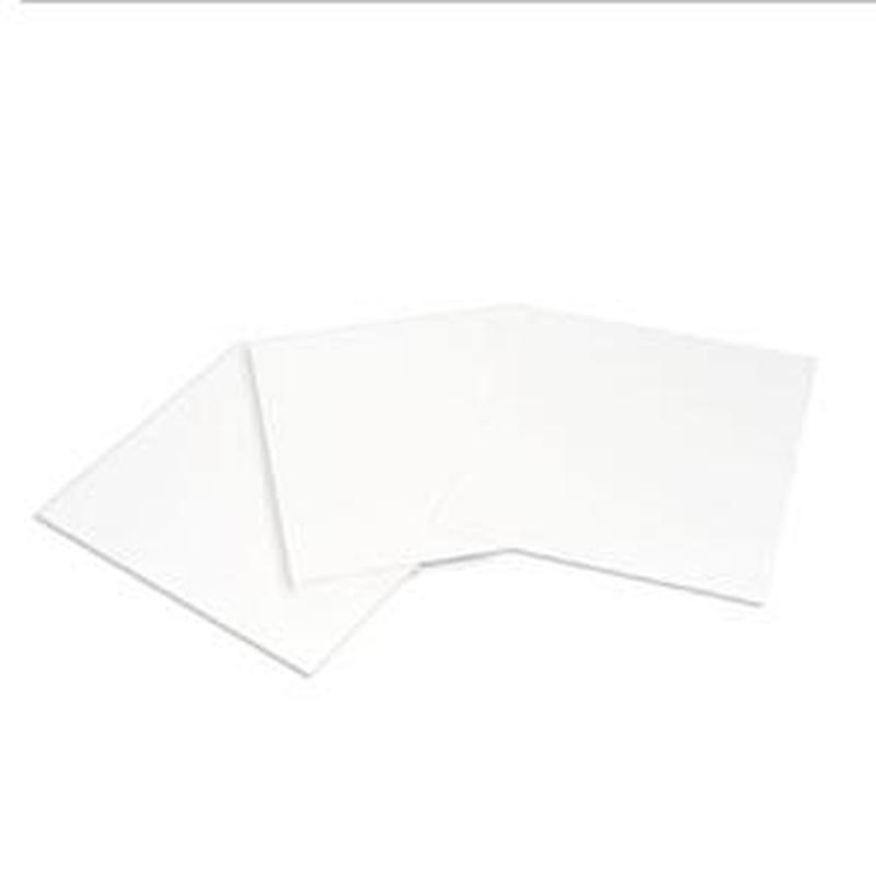 Extra Thick Blot Filter Paper, Precut, 14 x 16 cm 炼石商城
