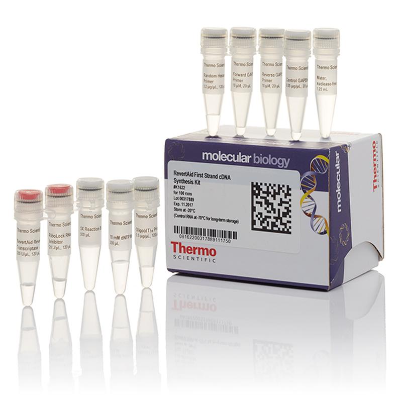 revertaid-first-strand-cdna-synthesis-kit-100x20-lrxns