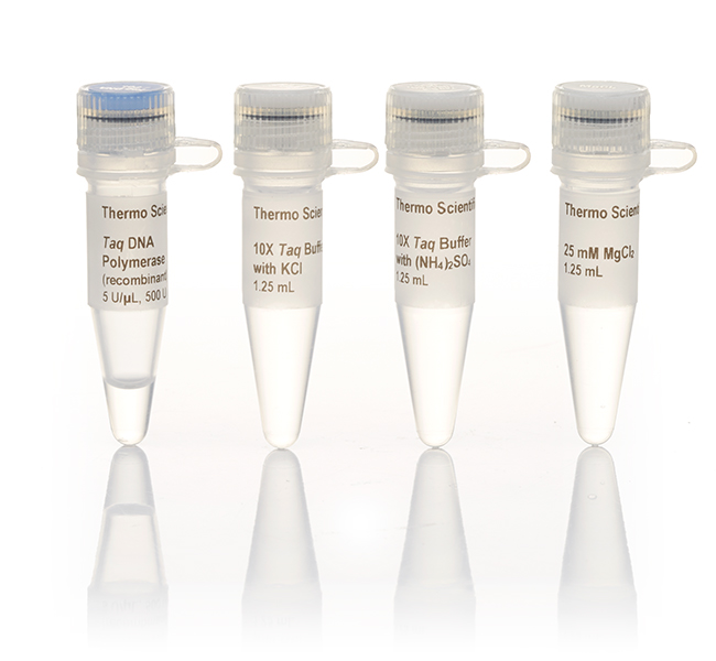 fermentas ep0405 taq dna polymerase (recombinant)    5x500u
