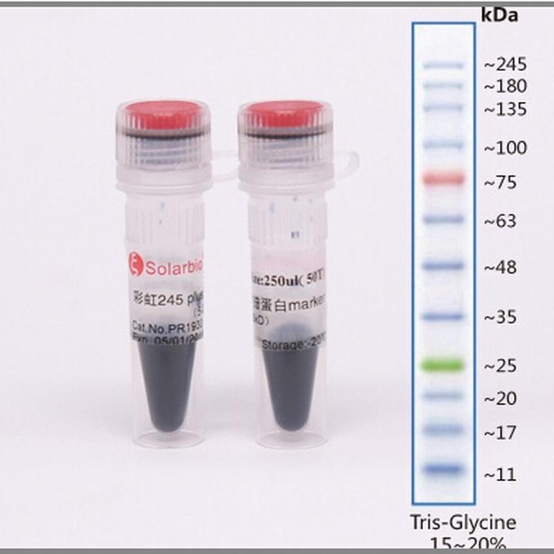 彩虹245plus广谱蛋白marker (5-245kd) 100ul(20t)