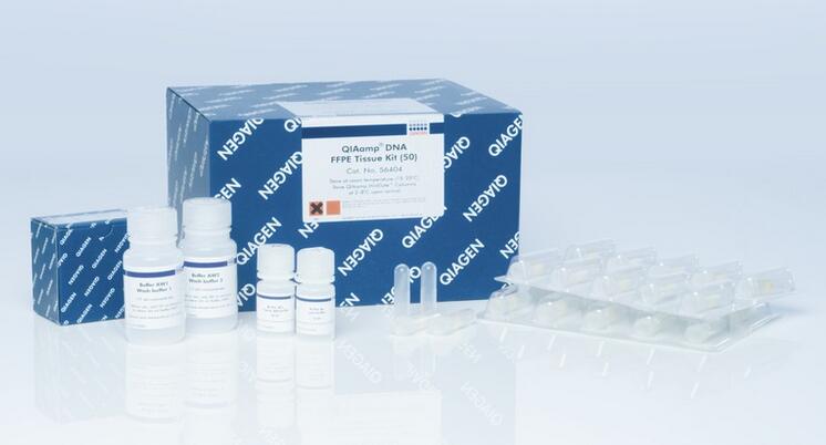 56404 qiaamp dna ffpe tissue kit 石蜡包埋组织基因组dna提取试剂盒