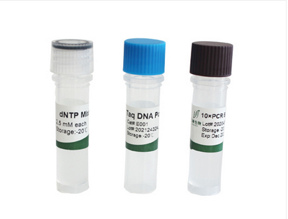 Taq Dna Polymerase Mg Plus U