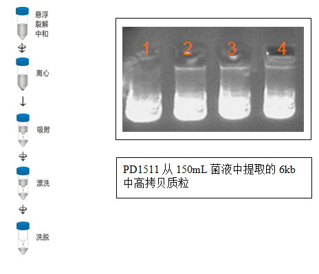 实验废弃物不含有害化学物质快捷省时:60分钟可完成质粒提取高得率