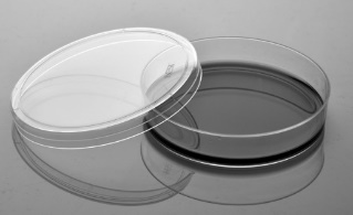 90mm细菌培养皿 透明,ps,双层包装,灭菌 20块/包,25包/箱
