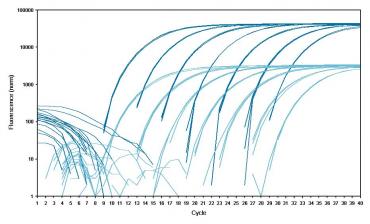 Eppendorf twin.tec® real-time PCR Plates