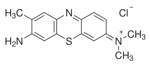 甲苯胺蓝o biological stain