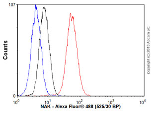 Flow Cytometry - Anti-NAK/TBK1  antibody [EPR2867(2)-19] (ab109735)