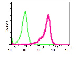 Flow Cytometry - Anti-NAK/TBK1  antibody [EPR2867(2)-19] (ab109735)