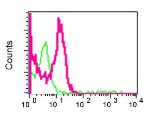 Flow Cytometry - Anti-COMT antibody [EPR6491(B)] (ab124813)