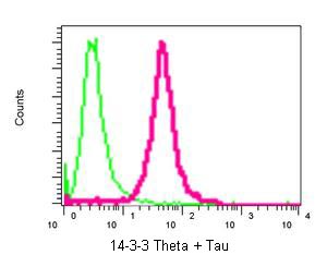 Flow Cytometry - Anti-14-3-3 Theta + Tau antibody [EPR5123] (ab124909)