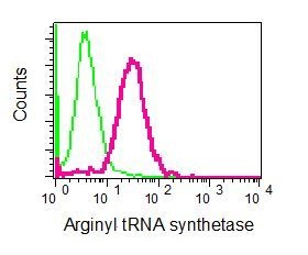 Flow Cytometry - Anti-Arginyl tRNA synthetase antibody [EPR6298] (ab128956)