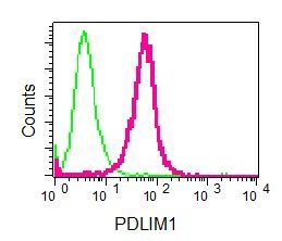 Flow Cytometry - Anti-PDLIM1 antibody [EPR7186(B)] (ab129015)