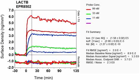 Other-Anti-LACTB antibody [EPR8502](ab131171)