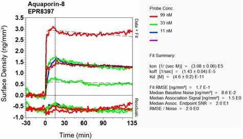 Other-Anti-Aquaporin 8 antibody [EPR8397](ab133667)