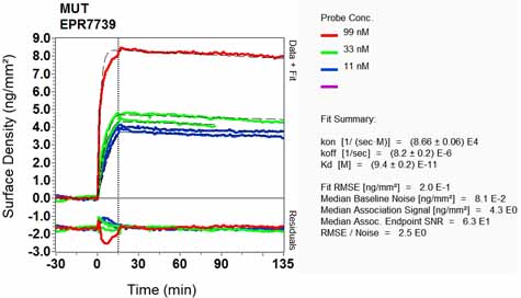 Other-Anti-Methylmalo<i></i>nyl Coenzyme A mutase antibody [EPR7739](ab133672)