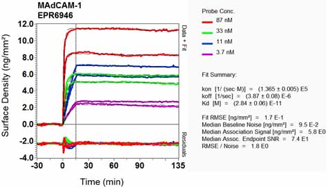 Other-Anti-MAdCAM1 antibody [EPR6946](ab134088)