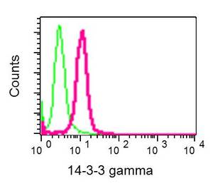 Flow Cytometry - Anti-14-3-3 gamma antibody [EPR9655(B)] (ab137106)