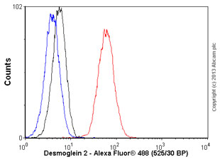 Flow Cytometry - Anti-Desmoglein 2 antibody [EPR6768] (ab150372)