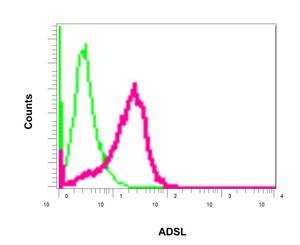 Flow Cytometry - Anti-Adenylosuccinate Lyase antibody [EPR10747(B)] (ab154182)
