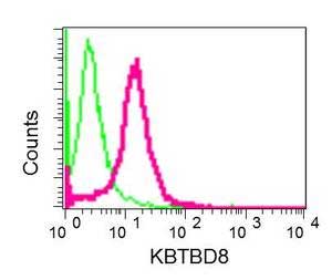Flow Cytometry - (ab154189)