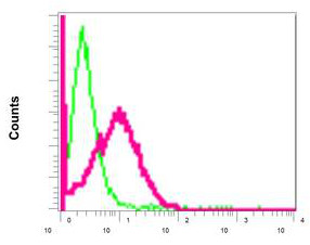 Flow Cytometry - Anti-FXYD6 antibody [EP9005] (ab157196)