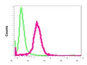 Flow Cytometry - Anti-ABR antibody [EPR7657(2)] (ab167420)