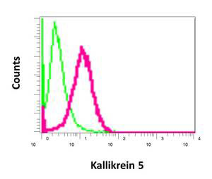 Flow Cytometry - Anti-Kallikrein 5 antibody [EPR9278] (ab168340)