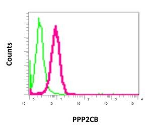 Flow Cytometry - Anti-PPP2CB [EPR11786(B)] antibody (ab168371)