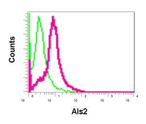 Flow Cytometry - Anti-Als2 [EPR11185] antibody (ab170896)