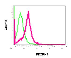 Flow Cytometry - Anti-PDZRN4 [EPR11852] antibody (ab171083)