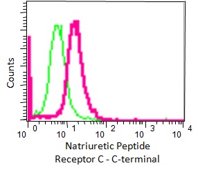 Flow Cytometry - Anti-Natriuretic Peptide Receptor C antibody [EPR12716] - C-terminal (ab177954)