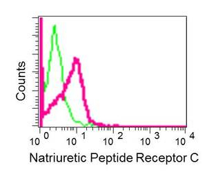 Flow Cytometry - Anti-Natriuretic Peptide Receptor C antibody [EPR12716] - C-terminal (ab177954)