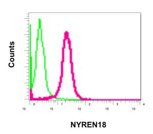 Flow Cytometry - Anti-NYREN18 [EPR10717] antibody (ab178414)