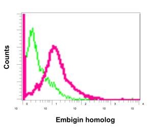 Flow Cytometry - Anti-Embigin homolog  [EPR11417] antibody (ab179801)