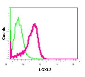 Flow Cytometry - Anti-LOXL2 [EPR12733] antibody - C-terminal (ab179810)