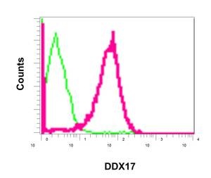 Flow Cytometry - Anti-DDX17 [EPR13807(B)] antibody (ab180190)