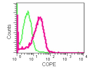 Flow Cytometry - Anti-COPE [EPR12579] antibody (ab180946)