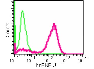 Flow Cytometry - Anti-hnRNP U [EPR12278(2)(B)] antibody (ab180952)