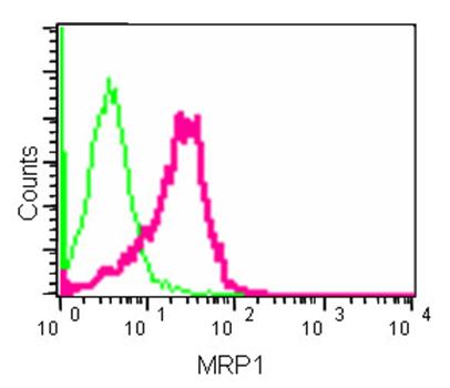 Flow Cytometry - Anti-MRP1 [EPR4658(2)] antibody (ab180960)