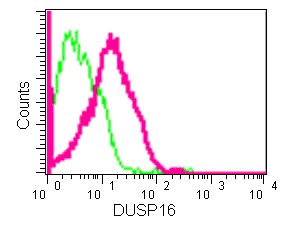 Flow Cytometry - Anti-DUSP16 [EPR13583] antibody (ab181088)