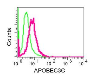 Flow Cytometry - Anti-APOBEC3C [EPR13417] antibody (ab181356)