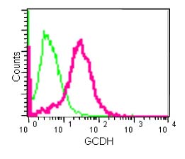 Flow Cytometry - Anti-GCDH [EPR14864(B)] antibody (ab182152)