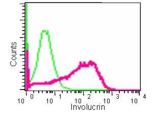 Flow Cytometry - Anti-Involucrin [EPR13060(N)] antibody - C-terminal (ab184969)