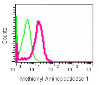 Flow Cytometry - Anti-Methio<i></i>nyl Aminopeptidase 1 [EPR15452(B)] antibody (ab185540)