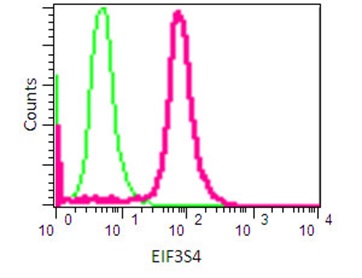 Flow Cytometry - Anti-EIF3S4 antibody [EPR16146] (ab191422)