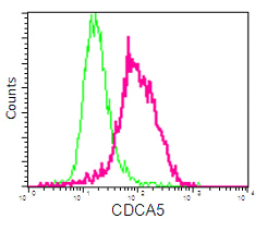 Flow Cytometry - Anti-CDCA5 antibody [EPR16331] - C-terminal (ab192237)