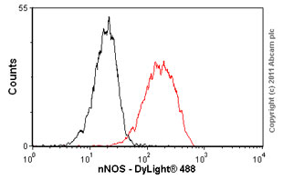 Flow Cytometry - nNOS (neuronal) antibody [EP1855Y] (ab76067)
