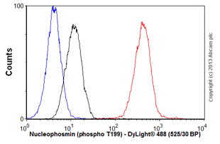 Flow Cytometry-Anti-Nucleophosmin (phospho T199) antibody [EP1857Y](ab81551)
