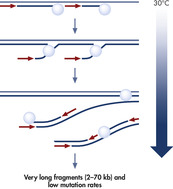 Multiple Displacement Amplification (MDA) technology.