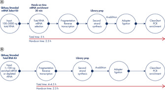 Preparation of Stranded RNA-seq Libraries in 1 Day.